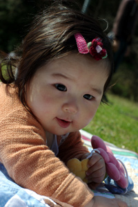 20100326-3.jpg
