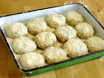 20100421-5.jpg
