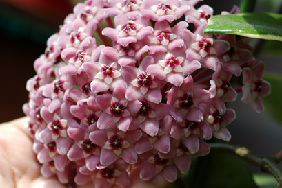 20100707-5.jpg
