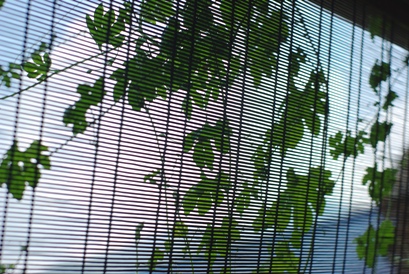 20100802-1.jpg