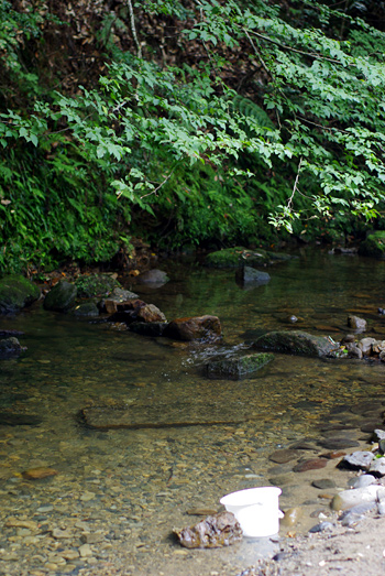 20100814-1.jpg