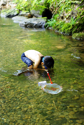 20100814-2.jpg