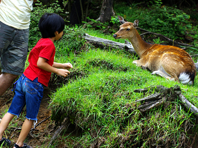 20100815-1.jpg