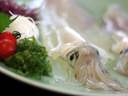 20100819-0.jpg