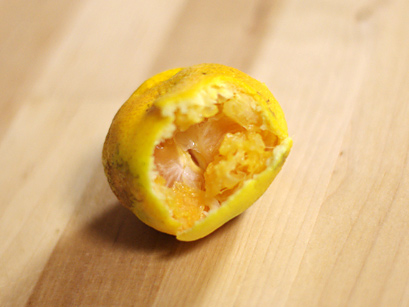 20101007-2.jpg