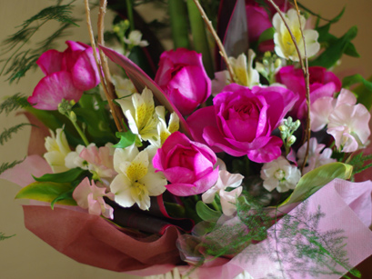 20110113-4.jpg