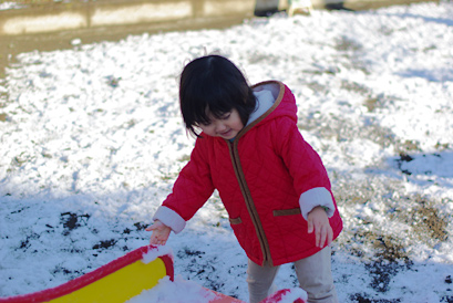 20110205-5.jpg