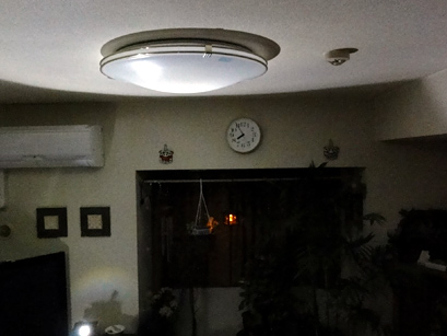 20110325-2.jpg
