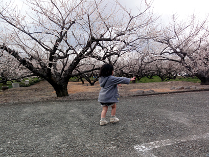 20120312-6.jpg