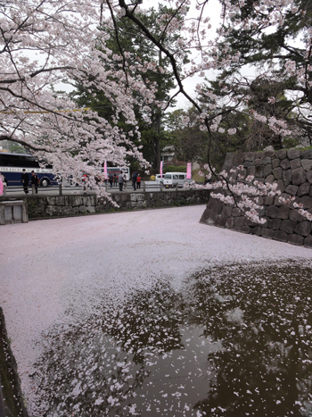 20130329-10.jpg