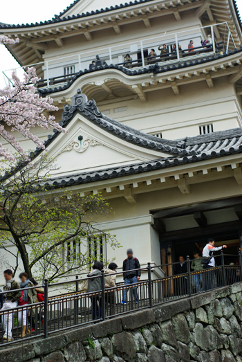 20130329-8.jpg