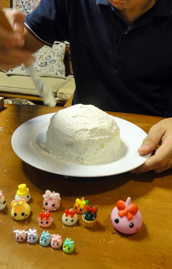 20140730-5.jpg