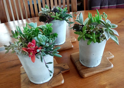 20180409-6.jpg