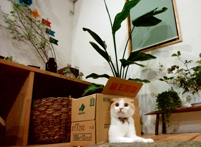 20180412-6.jpg