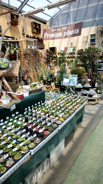 20180501-6.jpg